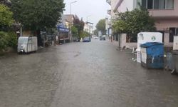 Muğla'da sağanak etkili oldu