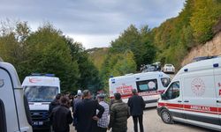 Ordu'da türbe ziyaretinden dönen minibüs devrildi, 11 yaralı
