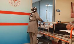 Ormandan toplayıp yediği mantardan zehirlendi