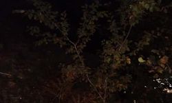 Ot biçen baba- oğul uçuruma düştü; polis memuru oğul öldü, baba yaralandı
