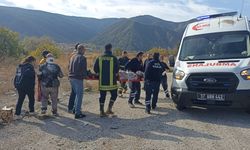 Otomobil bariyere çarpıp devrildi: 2 yaralı