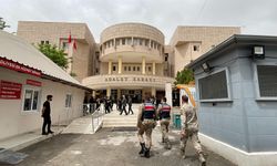 Rojin Kabaiş'e hakaretten tutuklandı