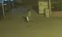 Sanayi sitesinde 5 araç kundaklandı