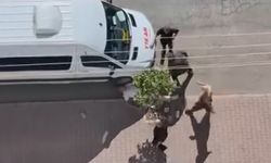 Sokakta bıçaklandı, kaçan saldırganı taşla kovaladı