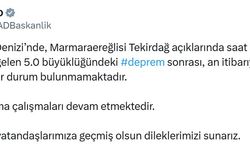 Tekirdağ açıklarında 5 büyüklüğünde deprem; İstanbul'da da hissedildi (2)