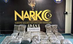 TIR'daki valizlerden 55 kilo skunk çıktı; ‘Arkadaşım rica etti' dedi