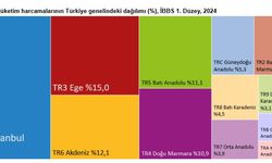 TÜİK: Hanehalkı tüketim harcamalarının yüzde 24,9'u İstanbul'da gerçekleşti