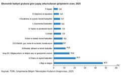 TÜİK: Yapay zeka teknolojileri kullanan girişim oranı arttı