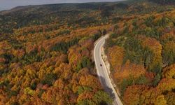 Uludağ'ın sonbahar güzelliği dronla görüntülendi