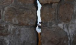Üzerindeki çatlaklar her yıl büyüyen mendireğin yıkılma tehlikesi/Ek fotoğraf