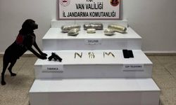 Van'da 4 kilo 311 gram skunk ele geçirildi