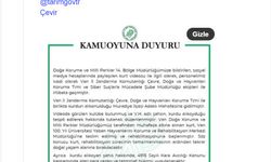 Van'da alıkonulan kurt, DKMP ekipleri tarafından koruma altına alındı