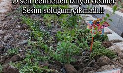 Yasemin lösemiyle mücadelesini kaybetti; duygulandıran veda şarkısı / Video eklendi