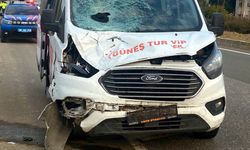 Yol kenarında yürürken minibüsün çarptığı yaya öldü
