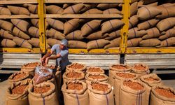 3'lü kıskaçtaki fındıkta düşük rekolteye rağmen hedef rekor ihracat