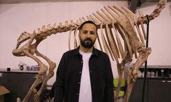 7,5 milyon yıllık fosiller ve replikaları ayna yöntemi ile 3D yazıcılarla ayaklandırılıyor / Ek fotoğraflar