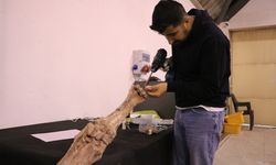 7,5 milyon yıllık fosiller ve replikaları ayna yöntemi ile 3D yazıcılarla ayaklandırılıyor