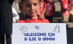'81 İlde 81 Orman' projesi Kilis ile devam ediyor