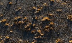 92 yıl önce köy mezarı yerine Çatalhöyük'e gömülen Güllü Ayşa'nın öyküsü