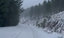 Adana'nın yüksek kesimlerine kar yağdı