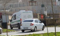 Afyonkarahisar'daki kazada ölen kardeşler, Mardin'de toprağa verildi