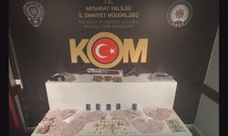 Aksaray'da FETÖ operasyonunda 1 tutuklama