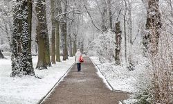 Almanya'da kar yağışı trafik kazalarına neden oldu: 3 ölü