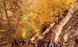 Amanos Dağları'nda sonbahar manzarası