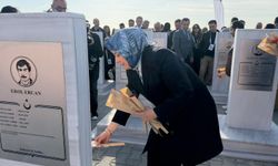 Ankara'da öğretmenler fidan dikti