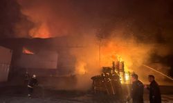 Antalya'da paketleme fabrikasında yangın/Ek fotoğraflar