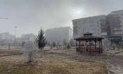 Ardahan'da sis ve kırağı etkili oldu