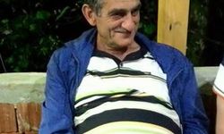 Arı kovanlarının bulunduğu ahşap yapı devrildi; 2 ölü, 1 yaralı