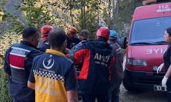 Arı kovanlarının bulunduğu ahşap yapı devrildi; 2 ölü, 1 yaralı/Ek fotoğraflar