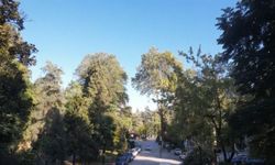 Atatürk'ün mirası 96 yıllık arboretum, ziyaretçilerini etkiliyor