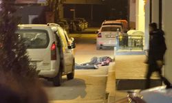 Avukat, tartıştığı otel sahibi baba ile oğlunu öldürdü