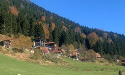 Ayder Yaylası'nda teleferikle ulaşım planlanıyor