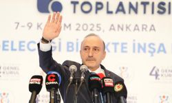 Bakan Işıkhan: Yangınla ilgili başmüfettiş görevlendirdik (2)