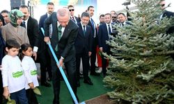 Bakan Yumakllı: 11 Kasım'da 14 milyon 914 bin fidan toprakla buluştu