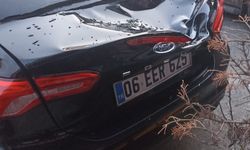 Balkondan düşen gazeteci Aykut Küçükkaya'nın annesi hayatını kaybetti