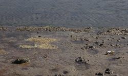 Barajda su çekildi, 58 yıllık dede toprağı gün yüzüne çıktı / Ek fotoğraflar