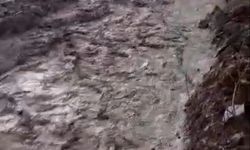 Batman'da sağanak etkili oldu