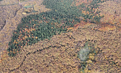 Bolu'da sonbahar manzaraları