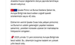 Bursa Kestane Şekeri ile İpsala Pirinci'ne AB'den coğrafi işaret tescili (2)