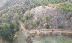 Çankırı'da mantar toplamak için evden ayrılan kadın, ormanda ölü bulundu