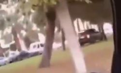 Cip ile refüje çıkan sürücüye gözaltı / Video eklendi