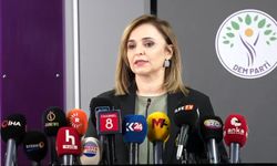 DEM Parti'li Doğan: Beklentimiz, Öcalan ile görüşme kararının alınmasıdır