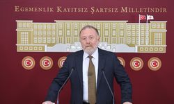 DEM Parti'li Temelli: Komisyon umarım İmralı'ya gider