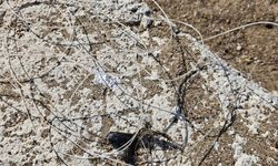 Deniz dibinde balık ağlarına takılı yaralı caretta caretta kurtarıldı