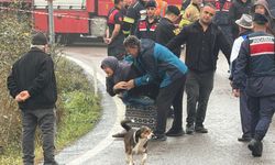 Dereye devrilen otomobildeki evli çift boğuldu, komşuları ağır yaralı