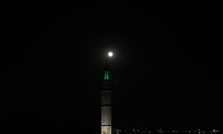 Diyarbakır'da ‘Kunduz ayı' kartpostallık görüntüler oluşturdu/ Ek fotoğraflar